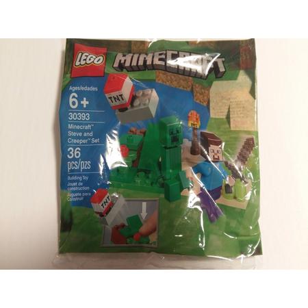 LEGO 30393 Minecraft Steve en Creeper (Polybag)