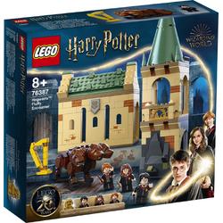 LEGO Harry Potter Zweinstein: Pluizige ontmoeting - 76387
