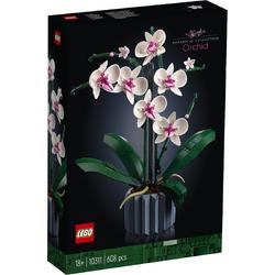   Icons Orchidee - 10311
