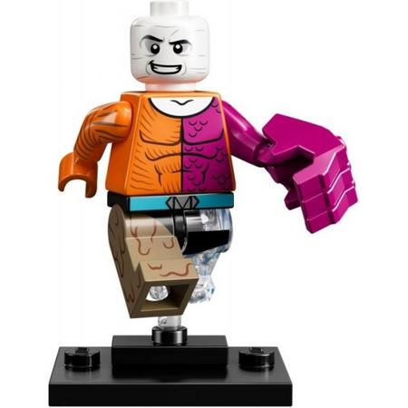 LEGO Minifigures Super Heroes - Metamorpho 12/16 - 71026