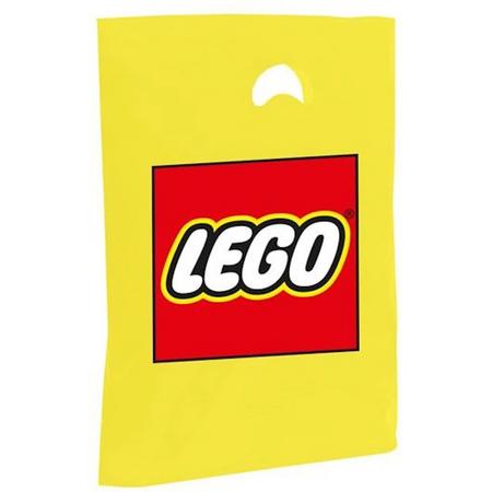 LEGO PLASTIC TASSEN 42X48 500S