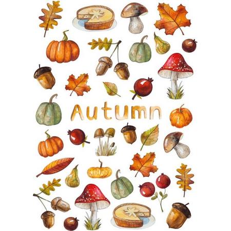 Herfst raamsticker M - Decoratie herfst - Raamsticker - Herfst - Diverse kleuren