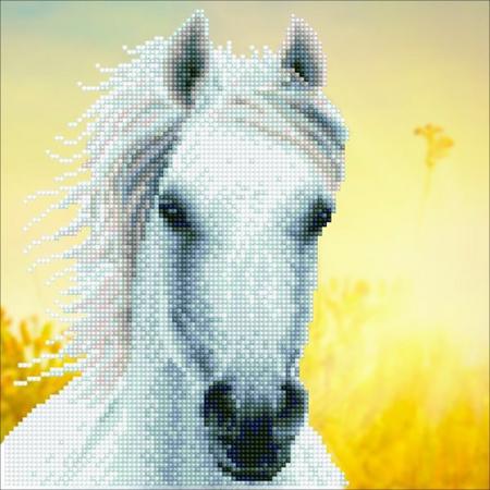50461 DIAMOND ART - 30.48x30.48cm Kits White Horse