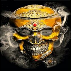 Lenks Diamond painting van een Gouden skull  40 X 50cm ronde steentjes full paint Diamond Paint