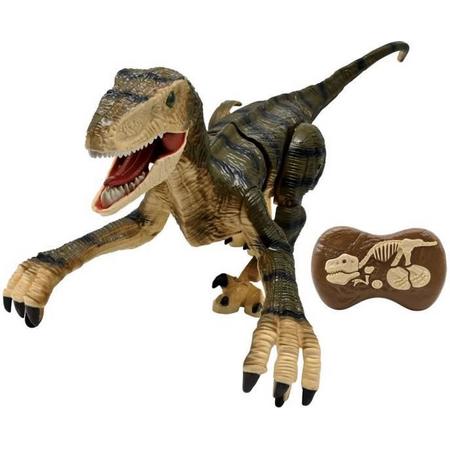 LEXIBOOK - RC Velociraptor - Simulatie met afstandsbediening Dinosaurus - Engels