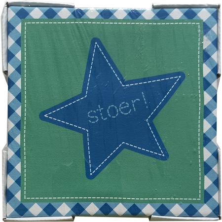 Canvas - Stoer ster - Lief! - 15x15cm