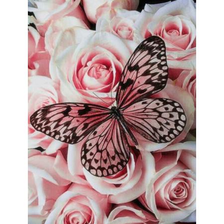 Lienz® Diamond Painting volwassenen 30x40cm – Rond – Vlinders – Bloemen – Roze Roos –  Pakket Volwassenen