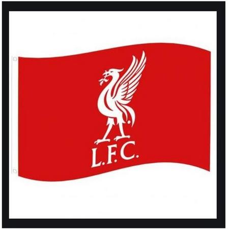 Liverpool FC vlag logo