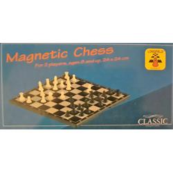 Magnetisch schaakspel voor 2 spelers