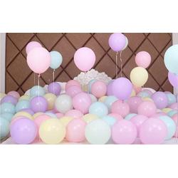 Luna Balunas 50 Stuks Pastel Latex Ballonnen  Roze Blauw Paars