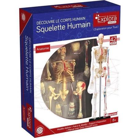MGM - Explora - Skeletale anatomie - Anatomie-experiment