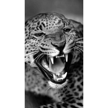 Panter Gevlekt - 40x50cm - VIERKANT – HQ Diamond Painting volledig dekkend - Diamant Schilderen  voor Volwassenen – Dieren - leopard – tiger - Luipaard