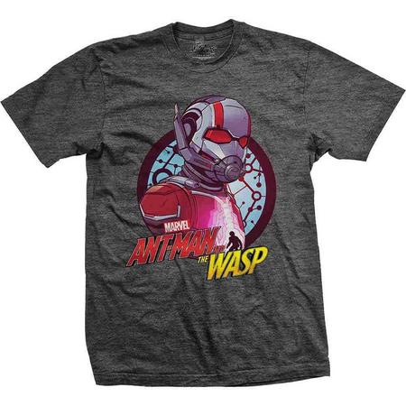 Ant Man And The Wasp - Circle heren unisex T-shirt donkergrijs - L