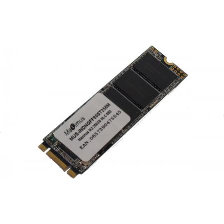 Maximus - Interne SSD M.2 - 256 GB – MLC