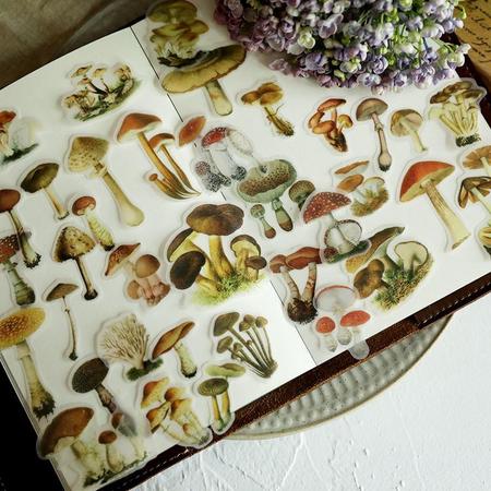 100 Vintage paddenstoel Vellum Stickers - Mushroom sticker