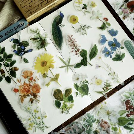 56 Vintage Flora & Fauna Vellum Stickers - Meer Leuks
