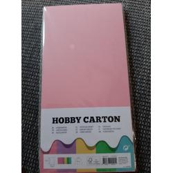 hobbykarton 800 gr 27x 13,5 cm 10 kleuren