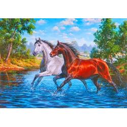 Diamond Painting Pakket - Paarden in Rivier - 50x40 cm - Complete Set - Volledige Bedekking - Ronde Steentjes - Dielay