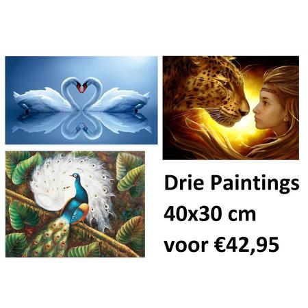 Diamond Painting Pakket - Set van 3 Paintings - Pauw, Zwanen en Vrouw met Panter - 40x30 cm - Complete Set - Volledige Bedekking - Dielay