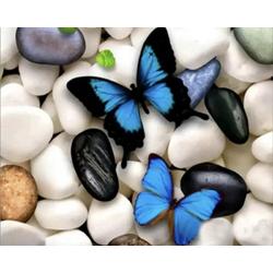 Mona Lisa Diamond Painting Set Vlinders op stenen 20x30 full size