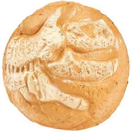 Moses Stuiterbal Met Dinofossiel 6,5 Cm Beige