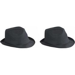 2x stuks trilby feesthoedje zwart voor volwassenen - Carnaval party verkleed hoeden