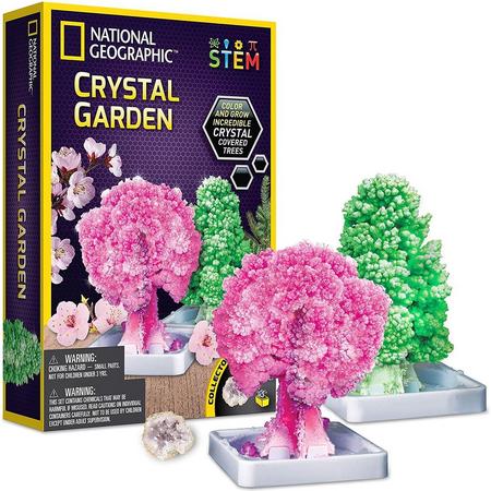 National Geographic - Crystal Garden Trees - Experimenteerset
