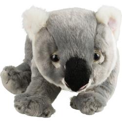 National Geographic Knuffeldier Baby Koala