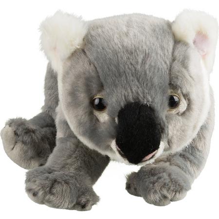 National Geographic Knuffeldier Baby Koala