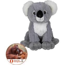 Koala knuffel clinger