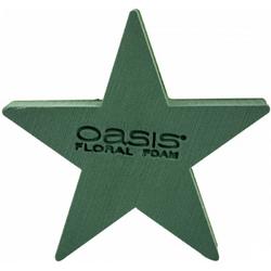 Oasis - Bioline - Steekschuim - Ster - 25x25x5,5cm - 2 stuks