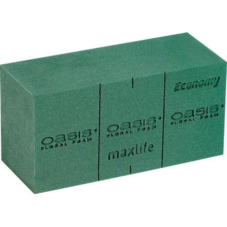 Oasis steekschuim Economy - 20 x 10 x 8 cm - set van 4 stuks