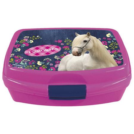Animal Pictures Lunchbox I Love Paarden
