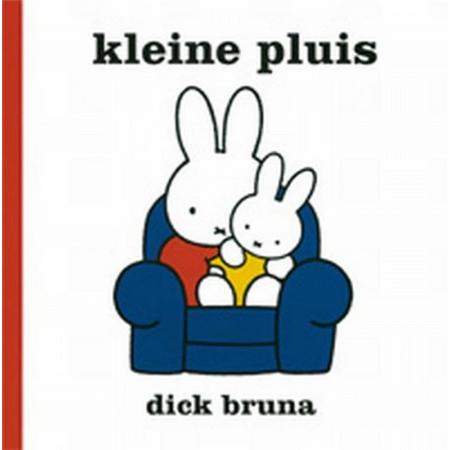 Boek Kleine Pluis