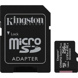 Canvas Select Plus microSD Card 256 GB