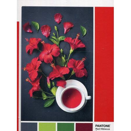 Clementoni legpuzzel Pantone Red Hibiscus 1000 stukjes