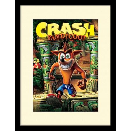 Crash Bandicoot Mounted & Framed Print - Wumpa Island (30x40cm)
