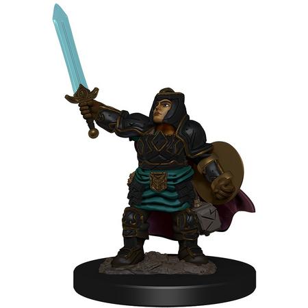Dungeons and Dragons Icons of the Realms - Dwarf Paladin Female