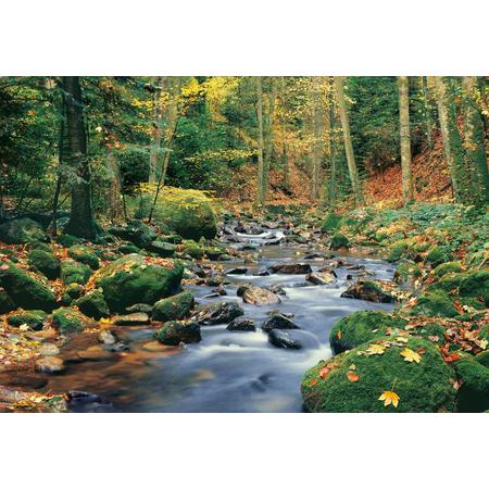 Forest Stream Fotobehang 366x254 cm - 8 delig - papier