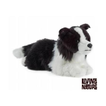 Knuffel border collie hond, living nature