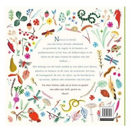 Memphis Belle educatief prentenboek Een jaartje natuur