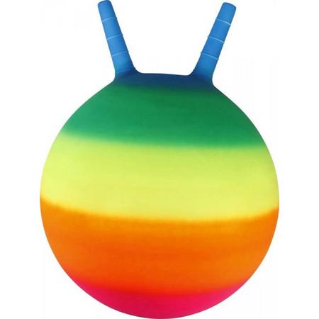 Outdoor actieve skippybal regenboog 45 cm