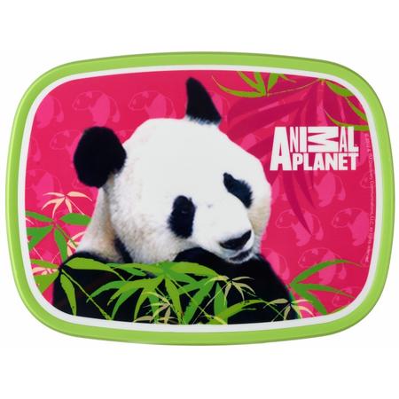 Rosti Mepal Animal Planet lunchbox panda 18 cm roze/groen