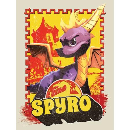 Spyro Canvas - Vintage (80x60cm)