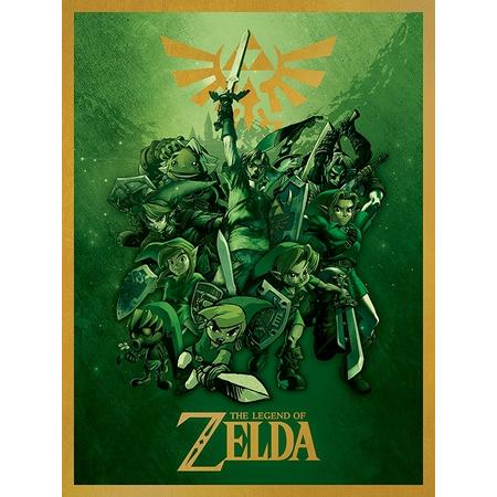 The Legend of Zelda Canvas - Link Fighting (80x60cm)
