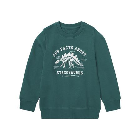 lupilu Peuters sweater met katoen (110/116, Groen)