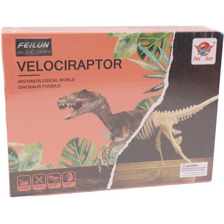Archeologisch opgravingset Velociraptor