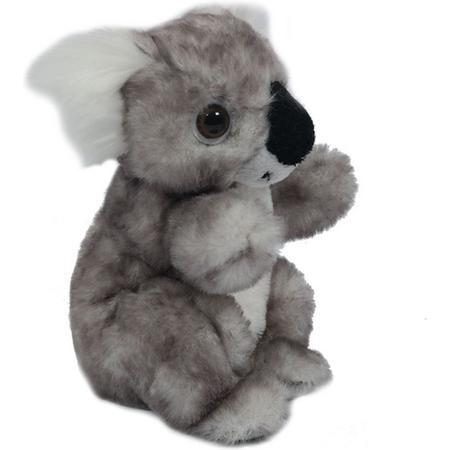 Koala 16 cm