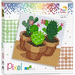 Complete Pixel Set Cactussen