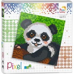 Complete Pixel Set Panda